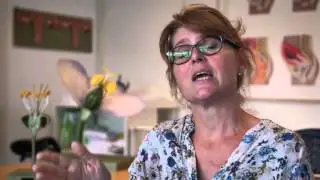 Vso  lichamelijke beperking