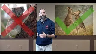Science of Self-Defense: Part2