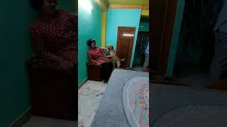 Sararat karna koi Cocose sikhe #dog #dogs #shorts #trending #labrador #pets #viral #animal #doglover