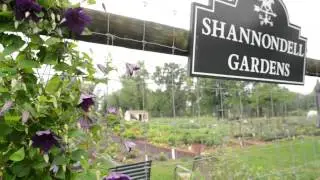 Philadelphia Video Production: Shannondell at Valley Forge