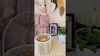 Товары из Распаковки TEMU #today #cat #top #birds #германия #обзор #catlover #покупки #cute #temu #