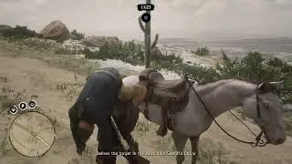 week of rdr2 ( @eMBeaR )