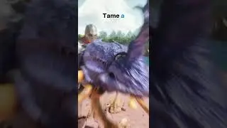 How to FARM Fertilizers in ARK : Survival Ascended ?