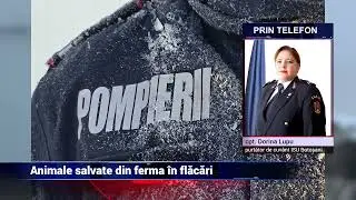 Animale salvate din fermă &icirc;n flăcări