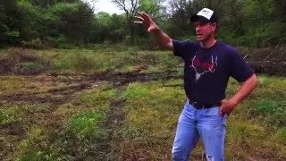 Spring Food Plots vs Fall Food Plots