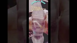 Cartesian diver #buoyant force #buoyancy #physics #ytshorts #diy #experiment #shorts #art