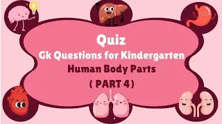 Fun Health Quiz: Human Body Parts | part 4 | Preschool Learning Game | Kg GK Quiz  #viral 112211