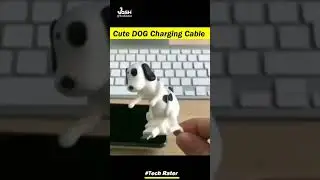Cute Dog Charging Cable Awesome Charger 👍🔥 #shorts #youtubeshorts