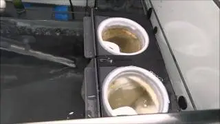 Red Sea Reefer 250 water noise 01