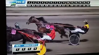 V85 Axevalla Sylvesterloppet Shadow Moon