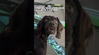 I Am Scared 😨| MTB Edit