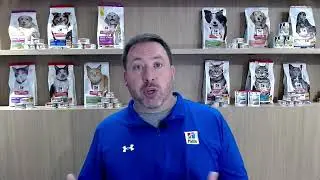 Expert Tips to Support and Celebrate Aging Pets