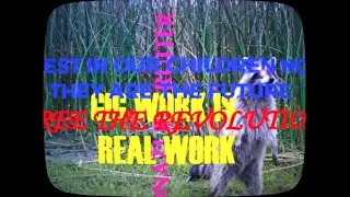 Raccoon Politics - A Film by Yushan