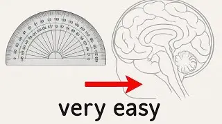 How to draw human brain diagram step by step | 10 class | easy way 