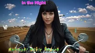 Medieval Music Source - In the Night #music #ambient #medieval #symphonicmetal