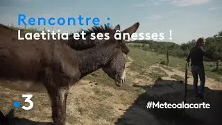 Laetitia et ses &acirc;nesses ! - M&eacute;t&eacute;o &agrave; la carte
