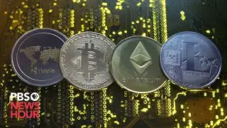 Future of cryptocurrencies in question after plunge in value