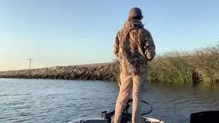 Cast2Catch PBrat wakebait on CA Delta!