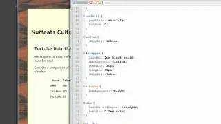 CSS Table Style