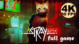 Stray - (4K 60FPS) Full Cinematic Gameplay Walkthrough - No Commentary.