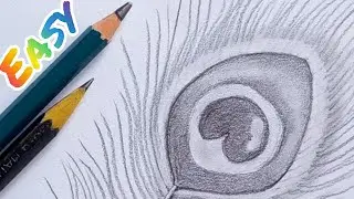 Peacock feather drawing #Shorts|pencil sketch|Janmashtami drawing|#FabArtistme|#Shorts