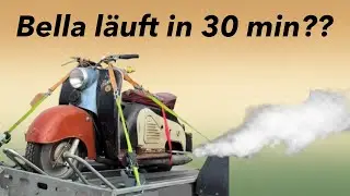 70 Jahre alte Bella in 30 min zum laufen gebracht?