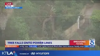 Power lines spark and smoke after large tree falls down in Beverly Crest