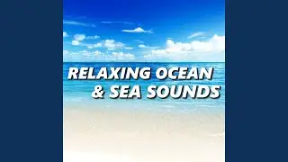 Beach Waves Specialists