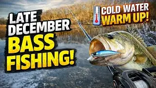 Late December Bass Fishing (jerkbait catches)