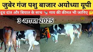 जुबेर गंज पशु बाजार अयोध्या फैजाबाद दूध दांत बियात के साथ साथ 🐄 गायों की कीमत भी जानिए 🤔।#cow 