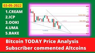 Bitcoin today price update & analysis - BTC Next Important price move - OOKI, UMA, ICP Analysis