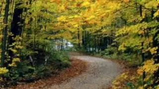 GIOVANNI MARRADI - Autumn Wind