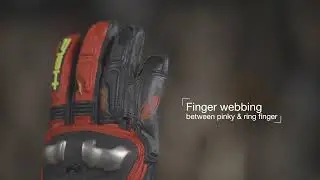 HELD Akira RR gloves | motoin