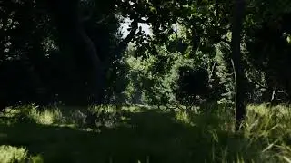 Quick exercise Free vj loop