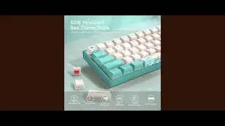 Womier 60% Percent Keyboard
