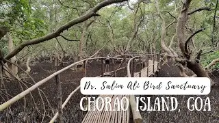 Dr Salim Ali Bird Sanctuary in Chorao Island, Goa