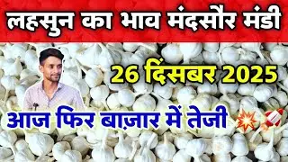 लहसुन का भाव मंदसौर मंडी 26 दिसंबर 2025 | Lahsun ka bhav | Garlic Rate Today #mandsaur_mandi_bhav 