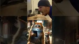 cat bombastic _popular _shorts(720P_HD)&lrm;⁨@CR-u5i⁩&nbsp;  #shorts