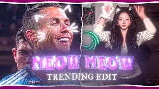 MEOW MEOW 😻 [TRENDING EDIT 💥] || XML + PRESET IN DESCRIPTION 👇🏻|| #ronaldo #alightmotion #fyp #viral
