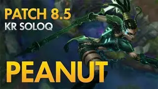 KINGZONE PEANUT - Nidalee Jungle