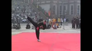 Alan Baxter performing the Saam Sing SaBaau Jong form from Chan Family Choy Lee Fut