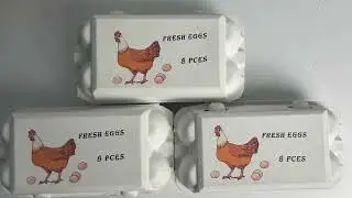 Direct Printing on Carton Eggs Boxes-Single Pass Printer