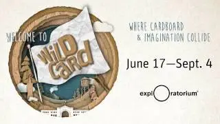 Welcome to WildCard | Exploratorium | Summer 2017