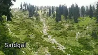 saidgai lake saidgai meddows swat||saidgai danda|| amazing vedios
