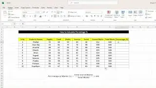 How to calculate percentage using Excel