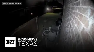 Rare sighting of a mountain lion caught on camera by Frisco resident