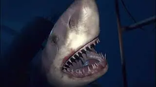 Revisting PSVR in 2025- Ocean Descent - PS4 Pro - VR - Still Amazing!