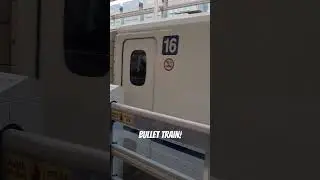 JAPAN Bullet Train! #bullet #train #japan #transportation #travel @tourist #asia