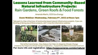 Lessons Learned from Rain Gardens, Green Roofs and Food Forests