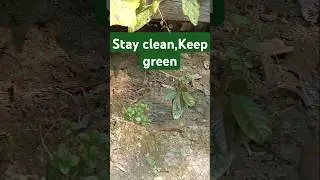 Take one step for greener future. #saveourplanet #planetprotection #love #gardening #greenplanet